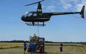 Helikopter kan nu ook zaaien voor de landbouw
