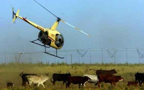 ALERT: Robinson Helicopters waarschuwt tegen Low G ongevallen