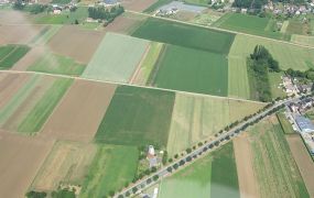 Provincie Noord Brabant gaat in op bezwaren van de natuurorganisaties