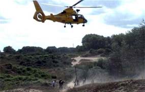 Helikopter haalt gekwetst paard uit de duinen
