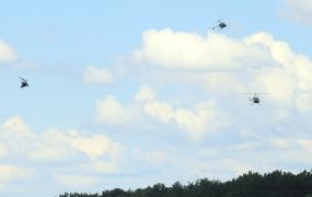 Fly-Inn Zwartberg 2022: ook helikopters van de partij