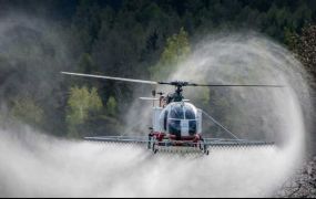 Vuichard heeft een Vortex Safety video uitgebracht